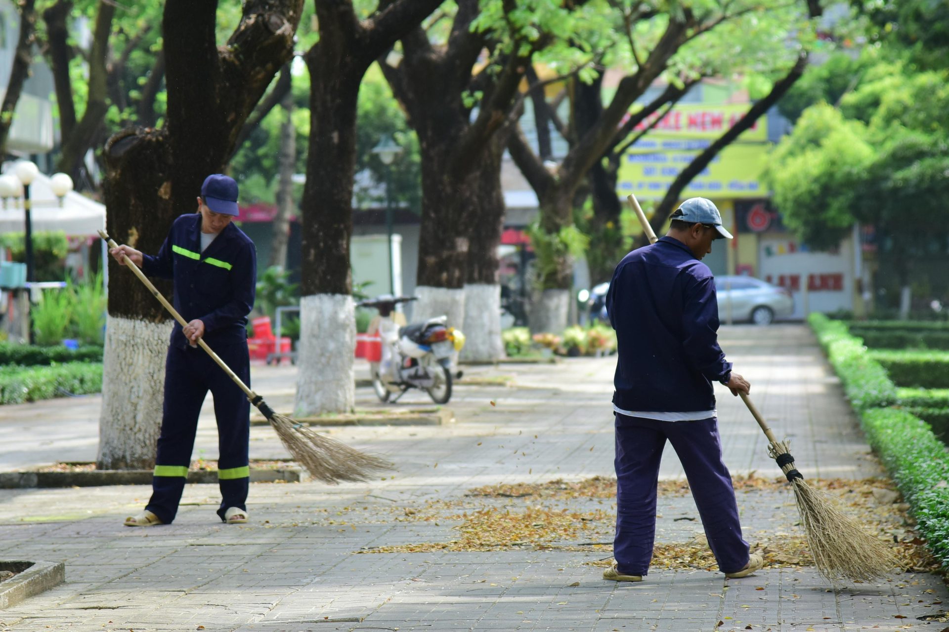 Two workers sweeping a tree-lined sidewalk, maintaining clean urban environment.